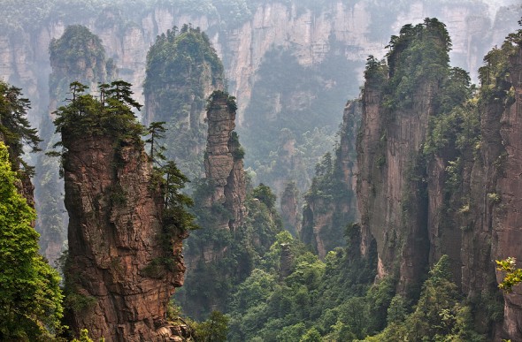 avatar-Zhangjiajie-bosque-china