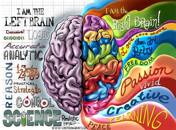 ¿Qué lado de tu cerebro es más dominante? (Test) Hemisferios-Cerebrales