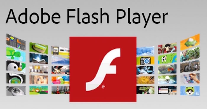 adobe flash player software